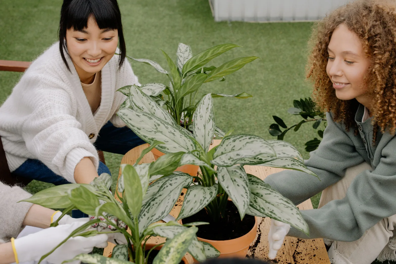 Two women smiling as they pot leafy plants together outdoors.