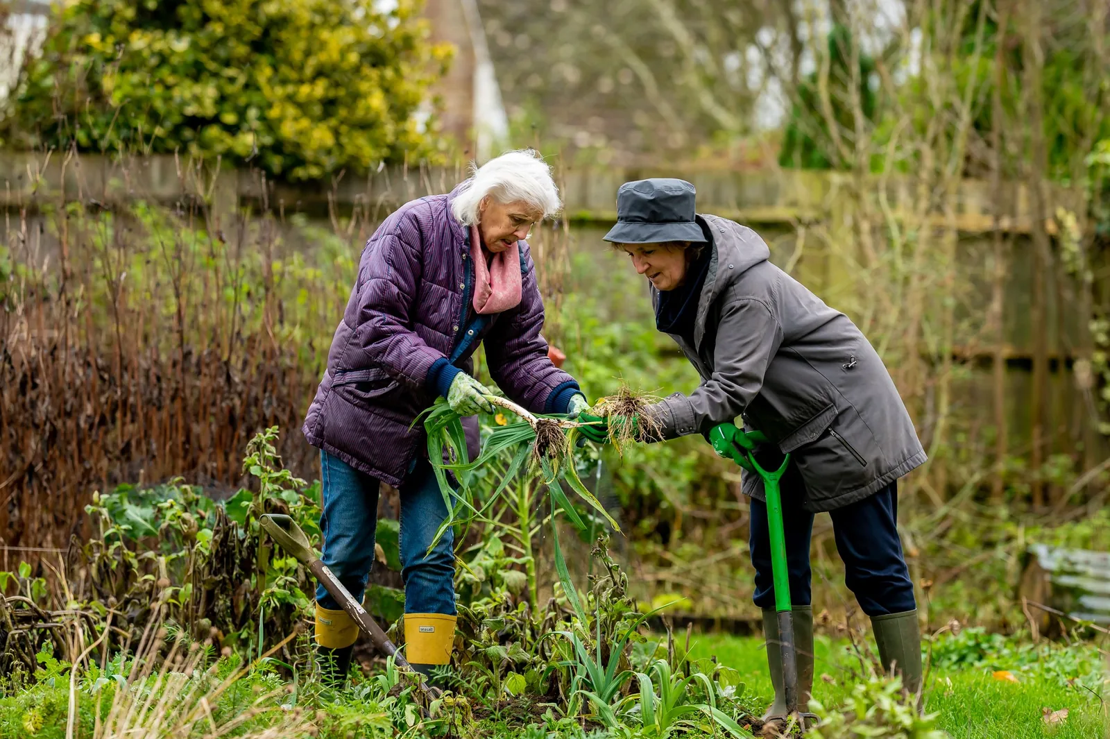 Two women tending plants together in a green garden.